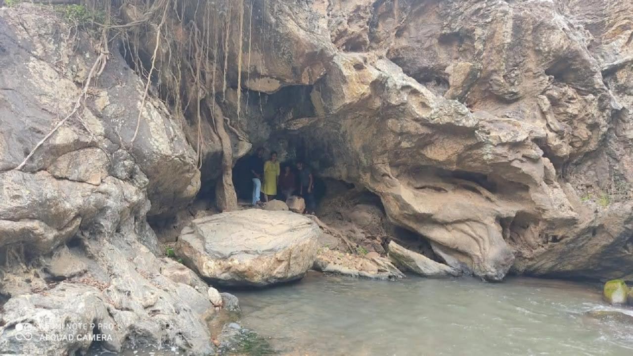 Misty Valley Resort Varagampadi Buitenkant foto